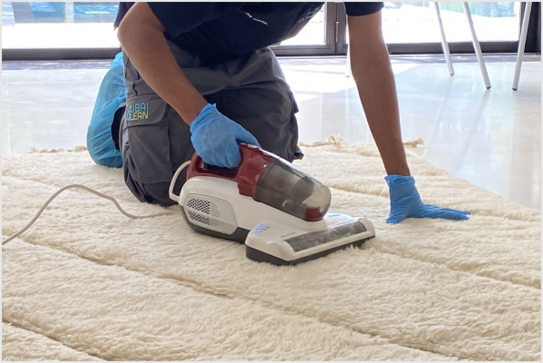 Sofa & Carpet Cleaning